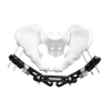 Pelvic External Fixator (Triple strand)